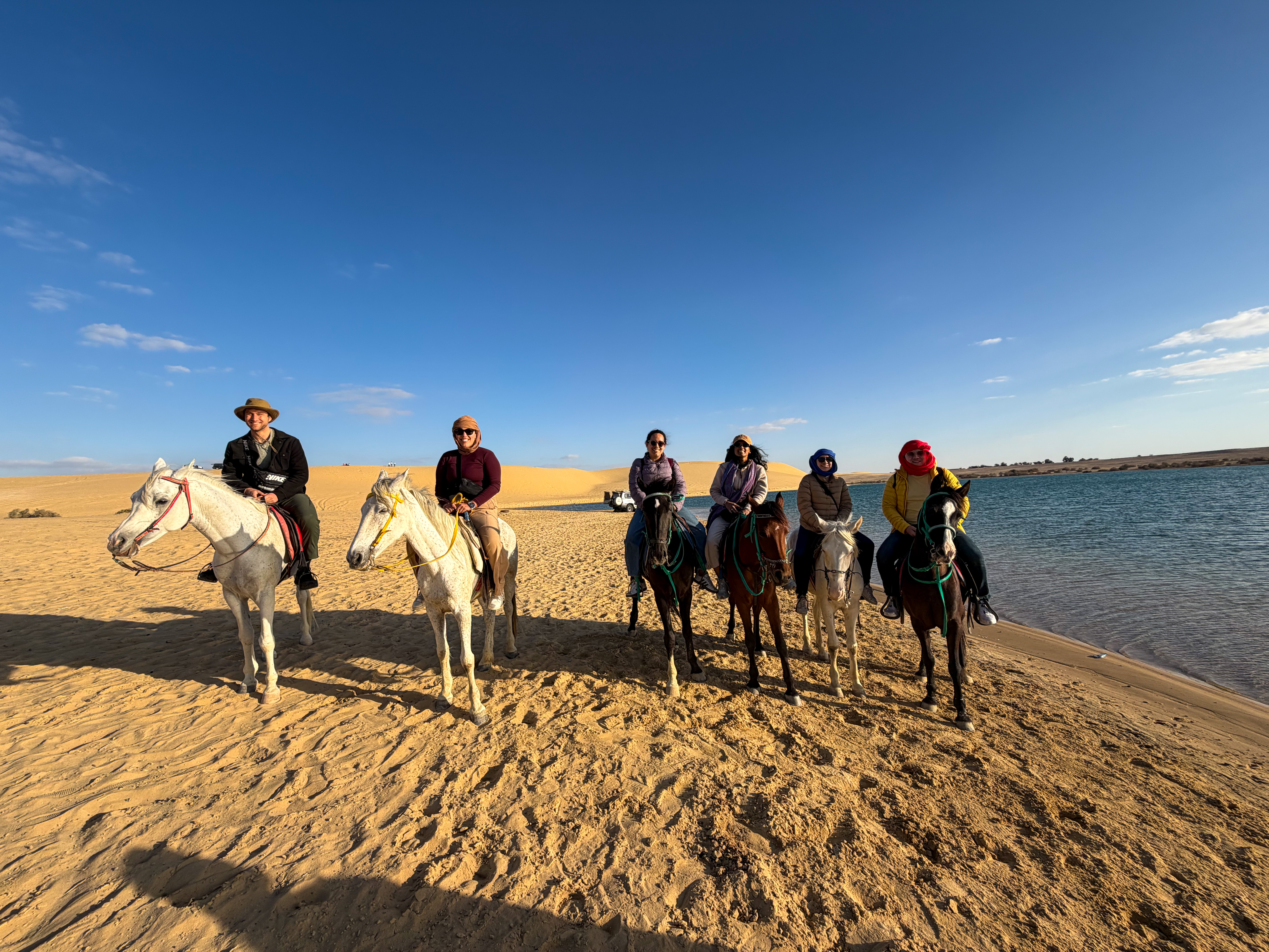 Fayoum Desert Day Trip from Cairo Photo 5